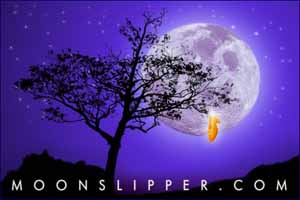 moonslipper.com